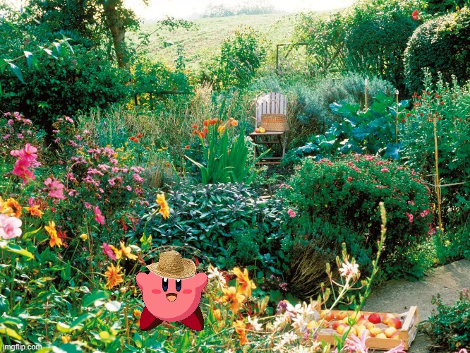 kirby's garden | image tagged in garden,nintendo,kirby | made w/ Imgflip meme maker