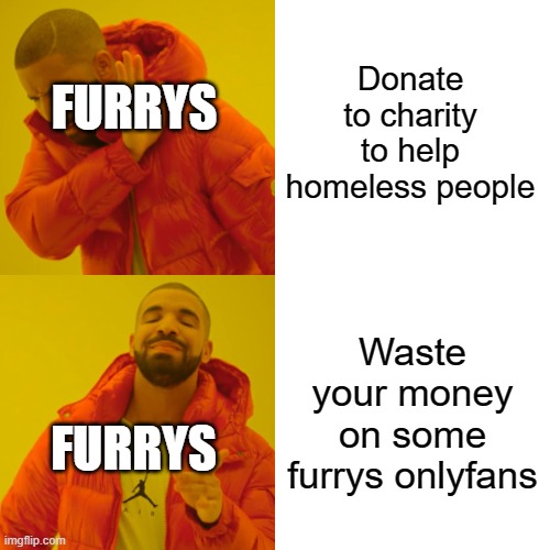 PROVE ME WRONG | Donate to charity to help homeless people; FURRYS; Waste your money on some furrys onlyfans; FURRYS | image tagged in memes,drake hotline bling,anti furry,furry memes | made w/ Imgflip meme maker
