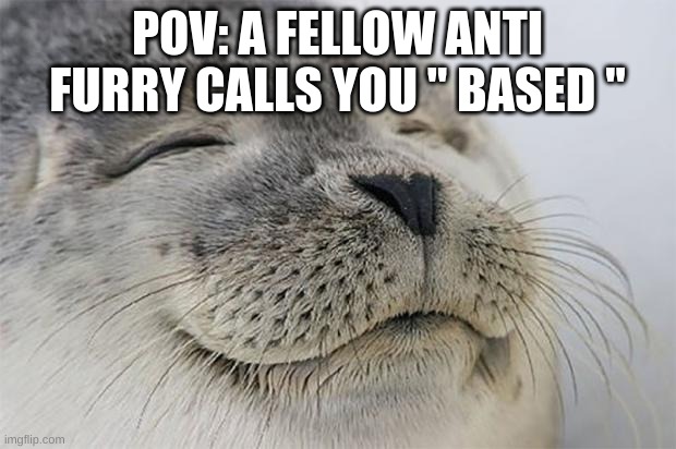 Good feeling | POV: A FELLOW ANTI FURRY CALLS YOU " BASED " | image tagged in memes,satisfied seal | made w/ Imgflip meme maker