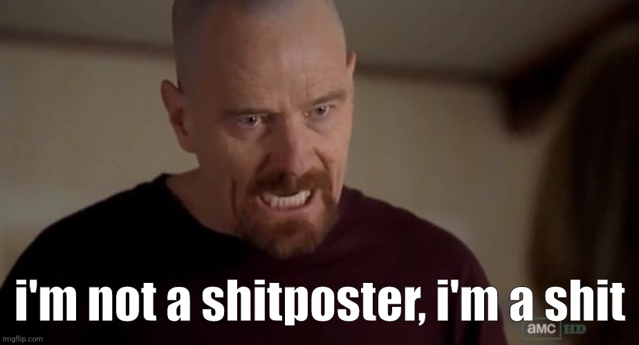 Walter has a goatee in this meme btw | i'm not a shitposter, i'm a shit | image tagged in i am the one who knocks | made w/ Imgflip meme maker