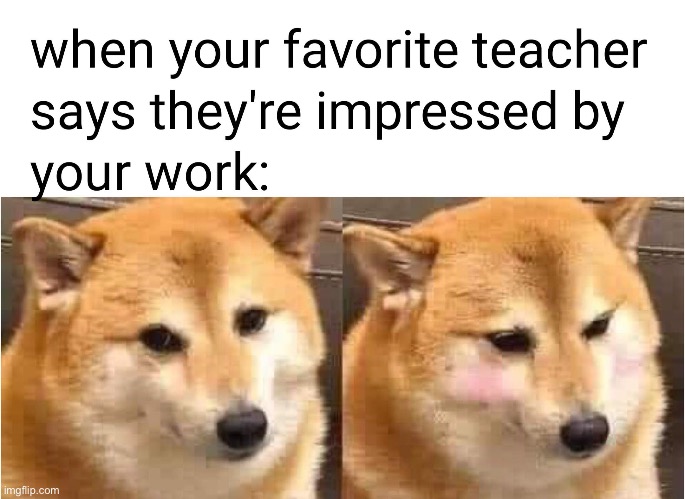 image tagged in repost,teacher,wholesome,doge,memes,funny | made w/ Imgflip meme maker