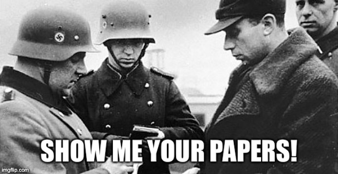 Show me your papers | image tagged in show me your papers | made w/ Imgflip meme maker