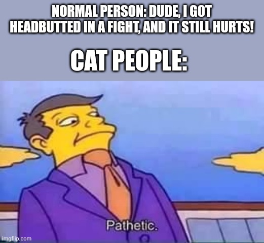 True though | NORMAL PERSON: DUDE, I GOT HEADBUTTED IN A FIGHT, AND IT STILL HURTS! CAT PEOPLE: | image tagged in skinner pathetic,cats,headbutt | made w/ Imgflip meme maker