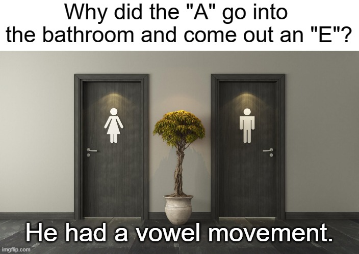 Why did the "A" go into  the bathroom and come out an "E"? He had a vowel movement. | made w/ Imgflip meme maker