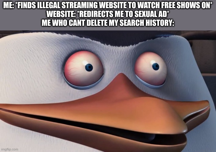 meme | ME: *FINDS ILLEGAL STREAMING WEBSITE TO WATCH FREE SHOWS ON*
WEBSITE: *REDIRECTS ME TO SEXUAL AD*
ME WHO CANT DELETE MY SEARCH HISTORY: | image tagged in penguins of madagascar skipper red eyes,funny,meme,memes,lol,fun | made w/ Imgflip meme maker