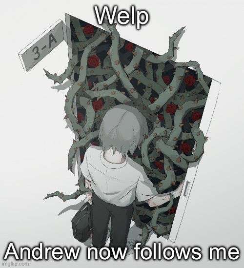 Avogado6 | Welp; Andrew now follows me | image tagged in avogado6 | made w/ Imgflip meme maker