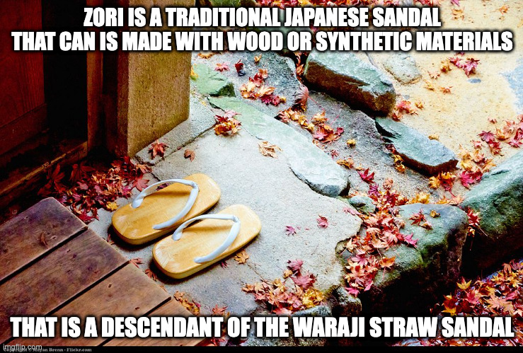Zori | ZORI IS A TRADITIONAL JAPANESE SANDAL THAT CAN IS MADE WITH WOOD OR SYNTHETIC MATERIALS; THAT IS A DESCENDANT OF THE WARAJI STRAW SANDAL | image tagged in sandals,memes | made w/ Imgflip meme maker