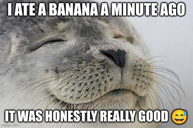 idk why i made this meme tho lol | I ATE A BANANA A MINUTE AGO; IT WAS HONESTLY REALLY GOOD 😅 | image tagged in memes,satisfied seal | made w/ Imgflip meme maker