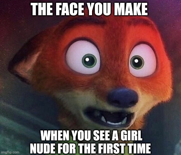 First Time Fox | THE FACE YOU MAKE; WHEN YOU SEE A GIRL NUDE FOR THE FIRST TIME | image tagged in nick wilde wide-eyed,zootopia,nick wilde,the face you make when,nude,funny | made w/ Imgflip meme maker
