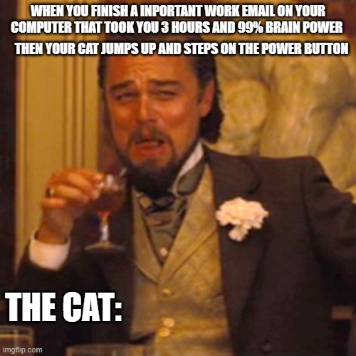This is why you should've got an outdoor cat. | WHEN YOU FINISH A INPORTANT WORK EMAIL ON YOUR COMPUTER THAT TOOK YOU 3 HOURS AND 99% BRAIN POWER; THEN YOUR CAT JUMPS UP AND STEPS ON THE POWER BUTTON; THE CAT: | image tagged in memes,laughing leo | made w/ Imgflip meme maker