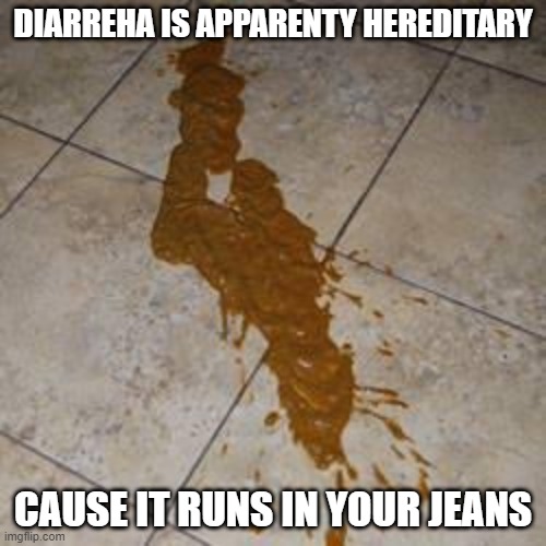 Jeans | DIARREHA IS APPARENTY HEREDITARY; CAUSE IT RUNS IN YOUR JEANS | image tagged in diarrhea | made w/ Imgflip meme maker