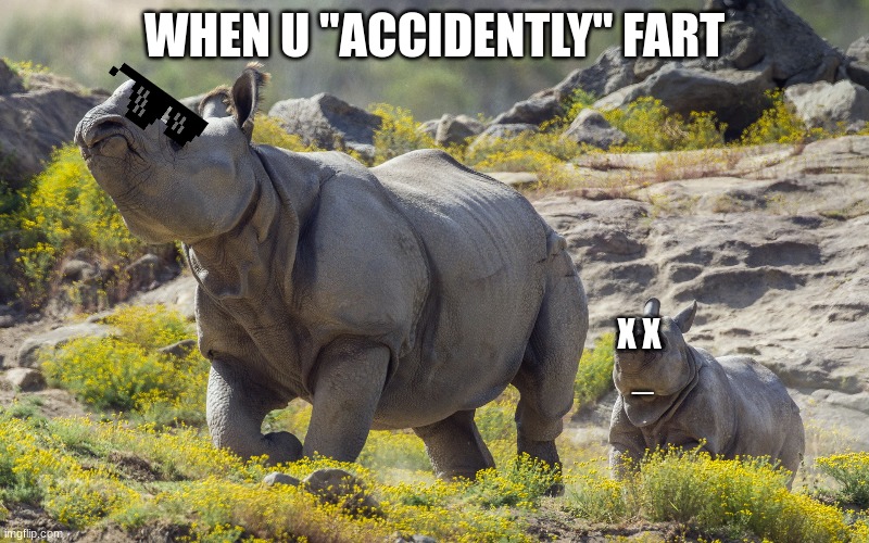 endangered animals | WHEN U ''ACCIDENTLY'' FART; X X
 _ | image tagged in save animals | made w/ Imgflip meme maker