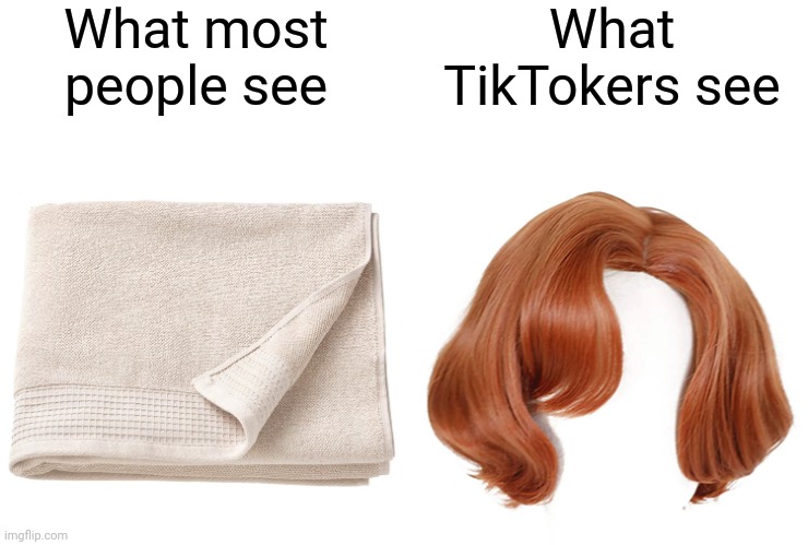 A towel is a wig | What most people see; What TikTokers see | image tagged in tiktok,wig,towel | made w/ Imgflip meme maker