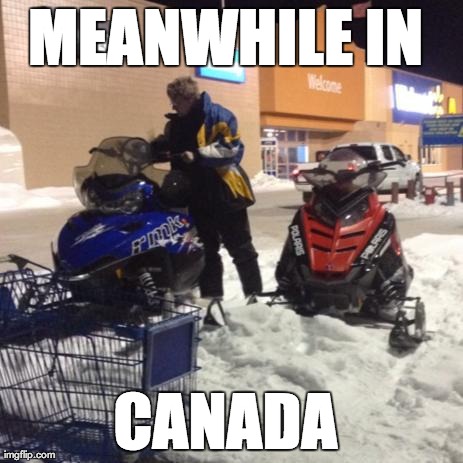 MEANWHILE IN  CANADA | image tagged in meanwhile in,canada | made w/ Imgflip meme maker