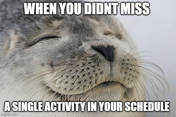 ahhhhh | WHEN YOU DIDNT MISS; A SINGLE ACTIVITY IN YOUR SCHEDULE | image tagged in memes,satisfied seal | made w/ Imgflip meme maker