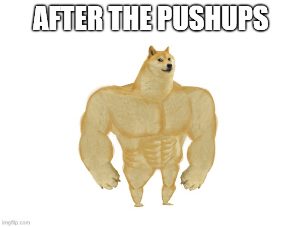 AFTER THE PUSHUPS | made w/ Imgflip meme maker