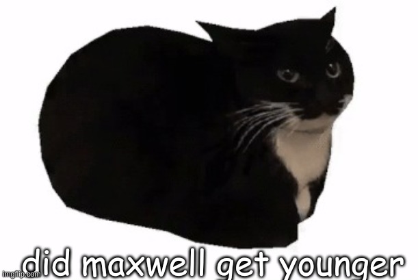 maxwell the cat | did maxwell get younger | image tagged in maxwell the cat | made w/ Imgflip meme maker