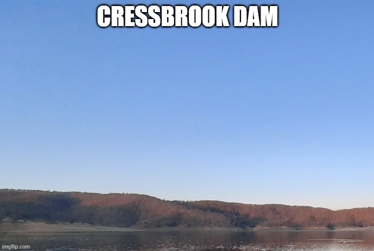 Nice view | CRESSBROOK DAM | image tagged in australia,australians,lake,view,picturesque | made w/ Imgflip meme maker