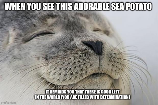 Adorable sea potato | WHEN YOU SEE THIS ADORABLE SEA POTATO; IT REMINDS YOU THAT THERE IS GOOD LEFT IN THE WORLD (YOU ARE FILLED WITH DETERMINATION) | image tagged in memes,satisfied seal | made w/ Imgflip meme maker