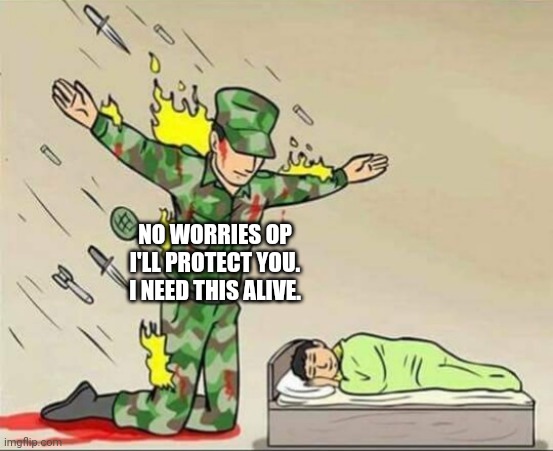 Soldier protecting sleeping child | NO WORRIES OP I'LL PROTECT YOU. I NEED THIS ALIVE. | image tagged in soldier protecting sleeping child | made w/ Imgflip meme maker