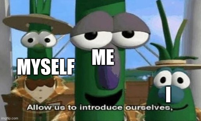 Allow Us to Introduce Ourselves | ME MYSELF I | image tagged in allow us to introduce ourselves | made w/ Imgflip meme maker