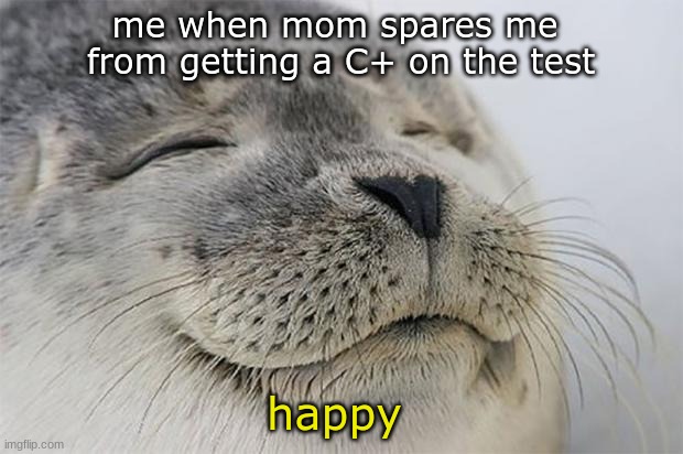 mom thank you | me when mom spares me 
from getting a C+ on the test; happy | image tagged in memes,satisfied seal,test,school | made w/ Imgflip meme maker