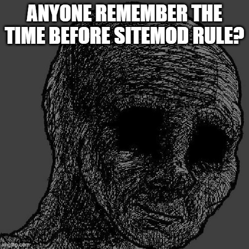 Including the time Wall was here | ANYONE REMEMBER THE TIME BEFORE SITEMOD RULE? | image tagged in cursed wojak | made w/ Imgflip meme maker