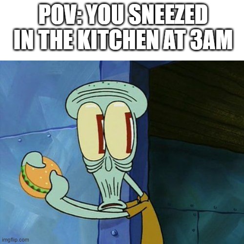 *Door opening noises* | POV: YOU SNEEZED IN THE KITCHEN AT 3AM | image tagged in funny,memes | made w/ Imgflip meme maker