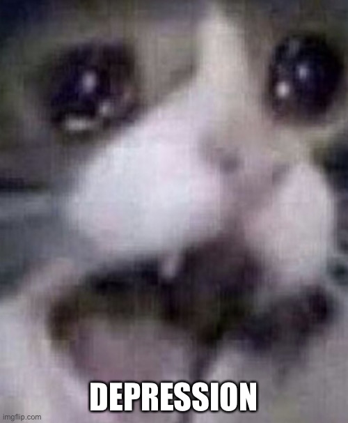 Depression Cat | DEPRESSION | image tagged in depression cat | made w/ Imgflip meme maker