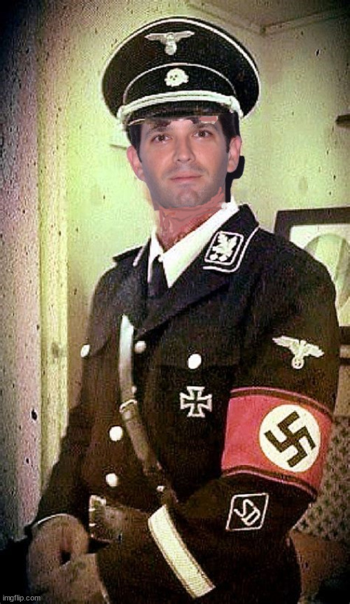 Don Jr. "If the uniform fits, wear it" | image tagged in don jr,nazi,maga,trump | made w/ Imgflip meme maker