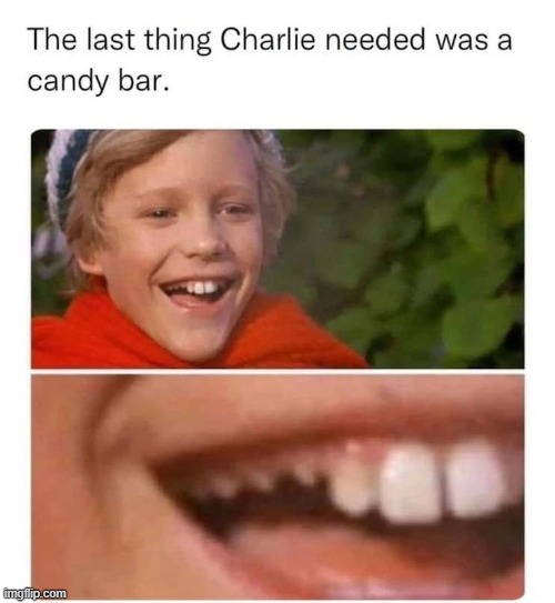 Damn, probably what happens when you eat chocolate every year. | made w/ Imgflip meme maker