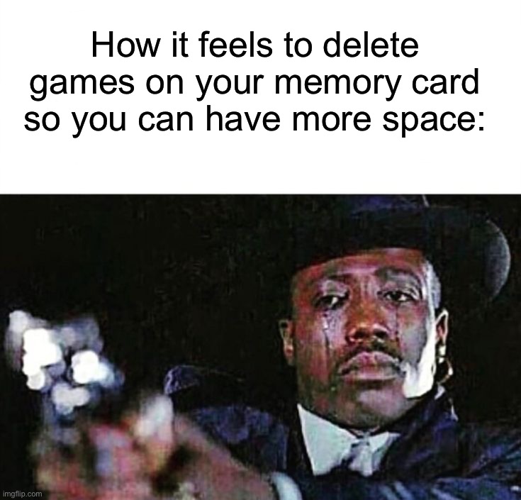Same thing goes for photography as well | How it feels to delete games on your memory card so you can have more space: | image tagged in memes,funny,gaming | made w/ Imgflip meme maker
