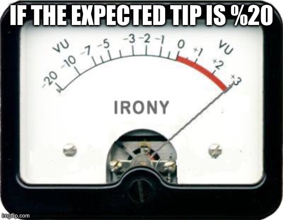 Irony Meter | IF THE EXPECTED TIP IS %20 | image tagged in irony meter | made w/ Imgflip meme maker