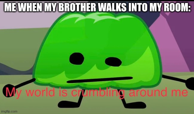 So true tbh | ME WHEN MY BROTHER WALKS INTO MY ROOM: | image tagged in funny | made w/ Imgflip meme maker