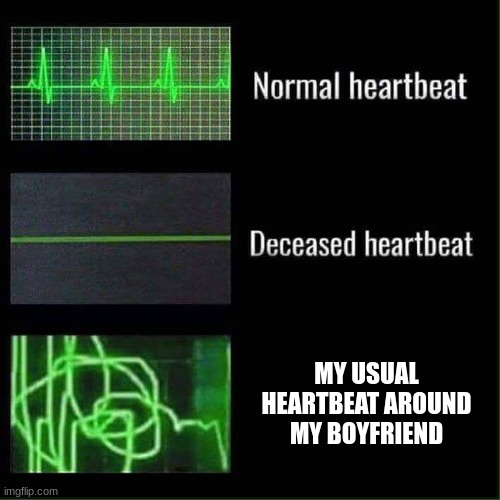 My usual heartbeat around my BF | MY USUAL HEARTBEAT AROUND MY BOYFRIEND | image tagged in heart beat meme | made w/ Imgflip meme maker