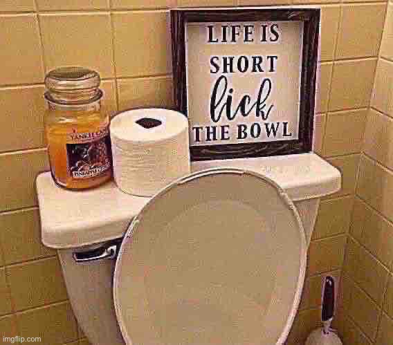 bathroom reveal | image tagged in bruh,lol,why are you reading this | made w/ Imgflip meme maker