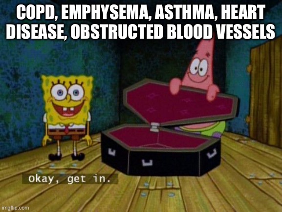 Reasons to not smoke | COPD, EMPHYSEMA, ASTHMA, HEART DISEASE, OBSTRUCTED BLOOD VESSELS | image tagged in okay get in,dead,kill,die,sick | made w/ Imgflip meme maker
