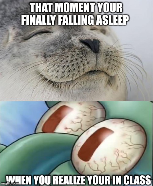 I'M AWAKE I'M AWAKE | THAT MOMENT YOUR FINALLY FALLING ASLEEP; WHEN YOU REALIZE YOUR IN CLASS | image tagged in memes,satisfied seal,squidward awake | made w/ Imgflip meme maker