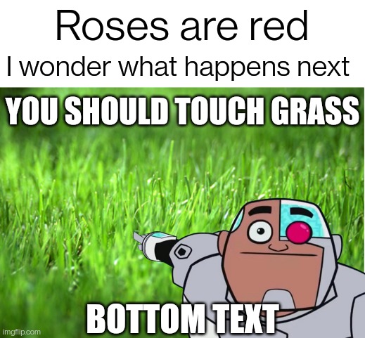 Roses are red; I wonder what happens next; YOU SHOULD TOUCH GRASS; BOTTOM TEXT | image tagged in grass is greener,guys look transparent | made w/ Imgflip meme maker