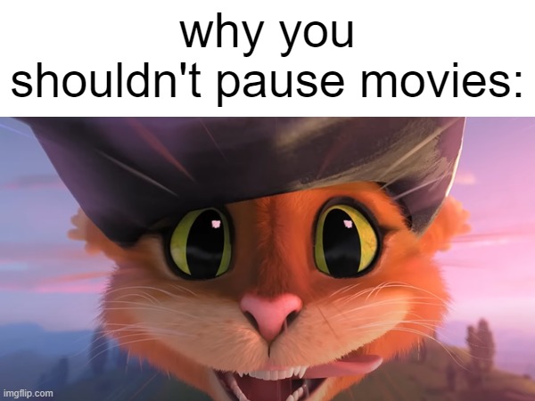 puss in boots | why you shouldn't pause movies: | image tagged in puss in boots | made w/ Imgflip meme maker