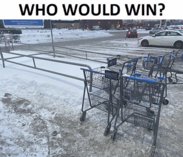Snow vs shopping cart | image tagged in memes,who would win,snow,shopping cart,funny,shopping | made w/ Imgflip meme maker