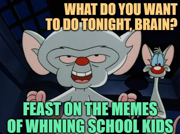 Pinky and the Brain | WHAT DO YOU WANT TO DO TONIGHT, BRAIN? FEAST ON THE MEMES OF WHINING SCHOOL KIDS | image tagged in pinky and the brain | made w/ Imgflip meme maker