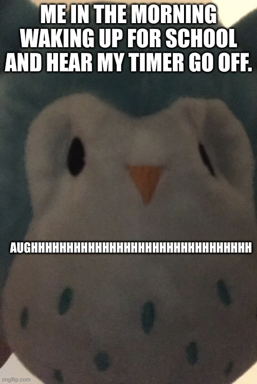 me when i wake up for school in the morninge | ME IN THE MORNING WAKING UP FOR SCHOOL AND HEAR MY TIMER GO OFF. AUGHHHHHHHHHHHHHHHHHHHHHHHHHHHHHHH | image tagged in tired owl | made w/ Imgflip meme maker