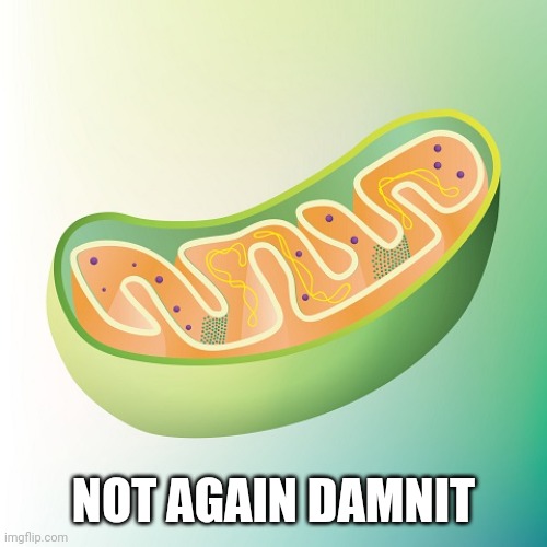 Mitochondria is the powerhouse of the cell | NOT AGAIN DAMNIT | image tagged in mitochondria is the powerhouse of the cell | made w/ Imgflip meme maker