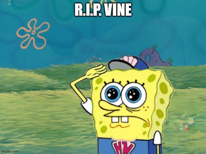 Spongebob salute | R.I.P. VINE | image tagged in spongebob salute | made w/ Imgflip meme maker