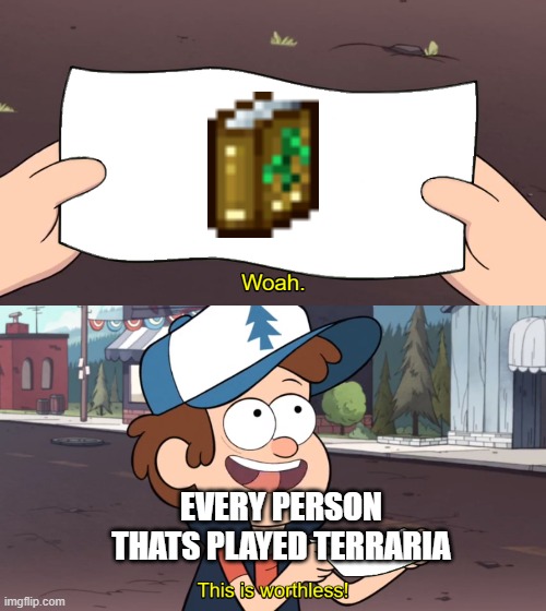terraria | EVERY PERSON THATS PLAYED TERRARIA | image tagged in this is worthless | made w/ Imgflip meme maker