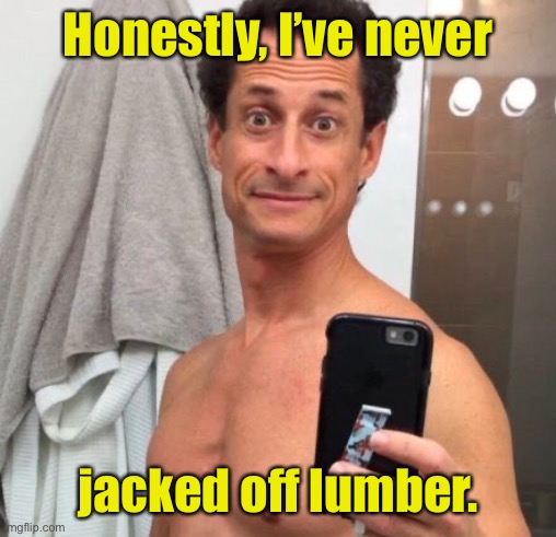 Anthony Weiner | Honestly, I’ve never jacked off lumber. | image tagged in anthony weiner | made w/ Imgflip meme maker