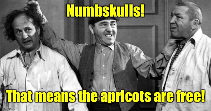 Three Stooges | Numbskulls! That means the apricots are free! | image tagged in three stooges | made w/ Imgflip meme maker