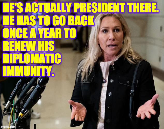 HE'S ACTUALLY PRESIDENT THERE.
HE HAS TO GO BACK 
ONCE A YEAR TO
RENEW HIS
DIPLOMATIC
IMMUNITY. | made w/ Imgflip meme maker