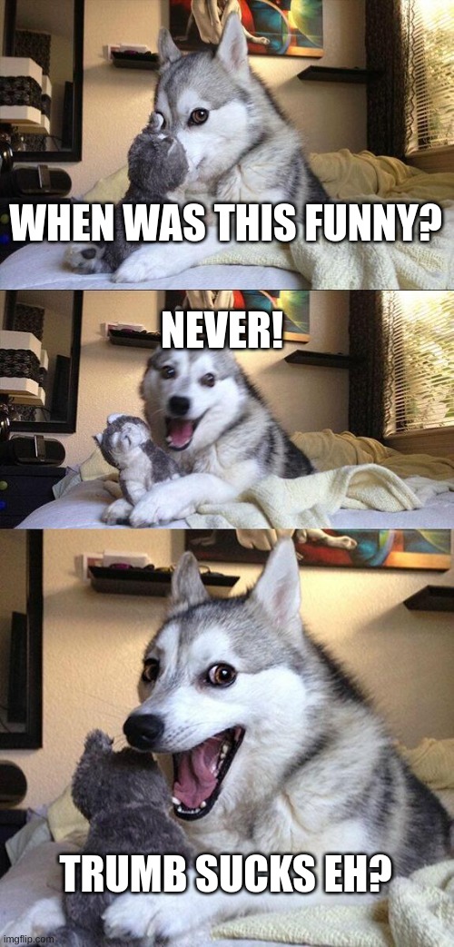 Bad Pun Dog Meme | WHEN WAS THIS FUNNY? NEVER! TRUMB SUCKS EH? | image tagged in memes,bad pun dog | made w/ Imgflip meme maker